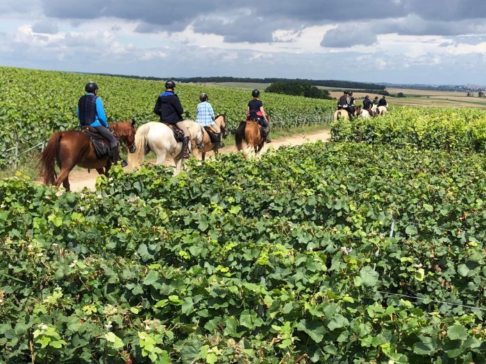 Sancerre Whisky & Wein Trail