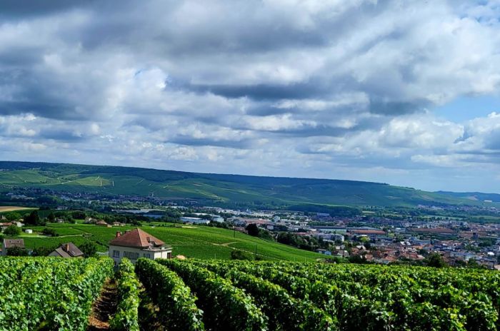 Sancerre Whisky & Wein Trail