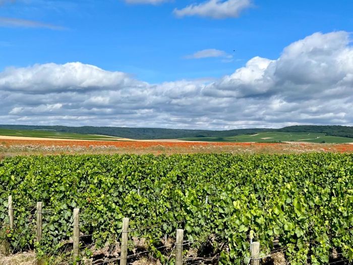 Sancerre Whisky & Wein Trail