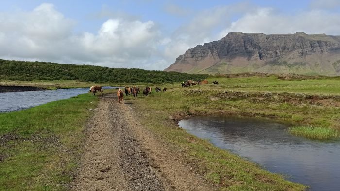 Hekla Wildnis Ritt