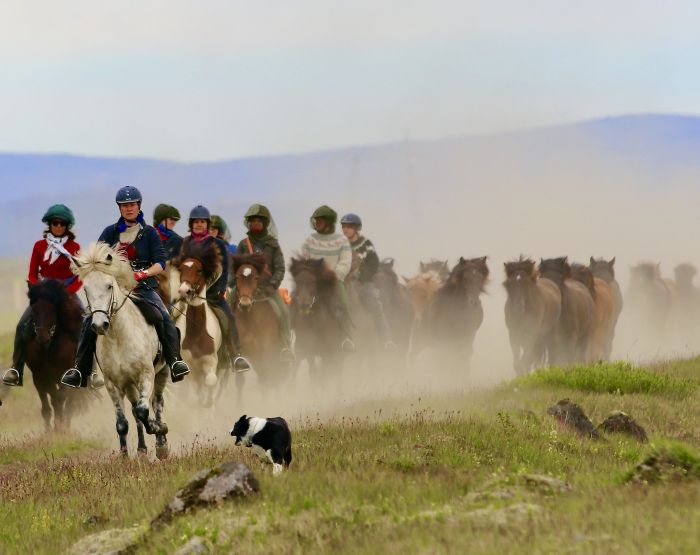 Hekla Wildnis Ritt