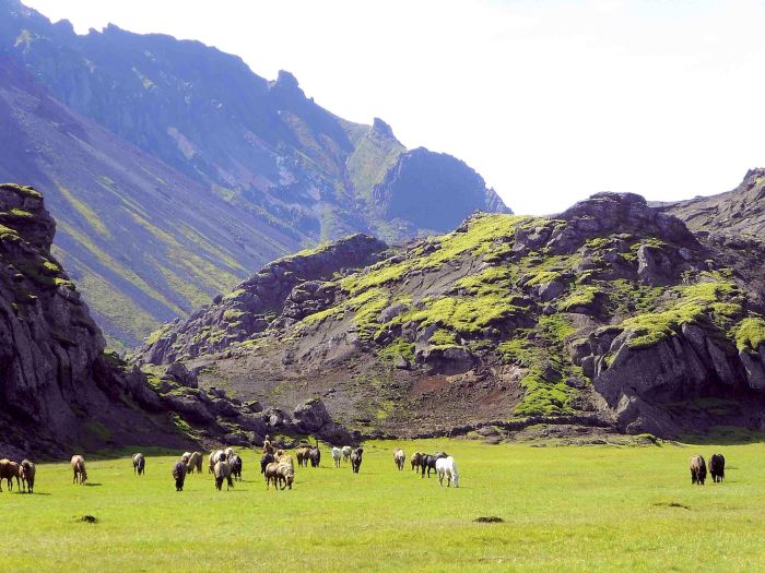 Hekla Wildnis Ritt