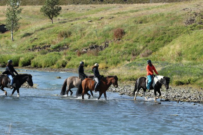 Thingvellir Ritt