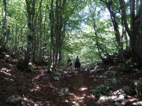 Madonie-Naturpark-Trail auf Sizilien