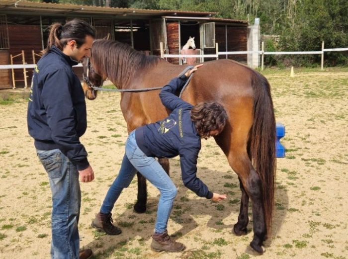 Horsemanship an der Costa Smeralda