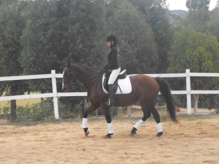 Horsemanship an der Costa Smeralda