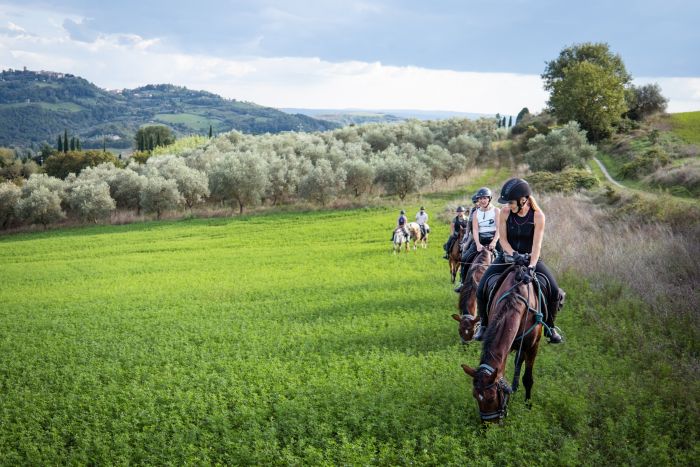 Burgen und Schl&ouml;sser der Toskana