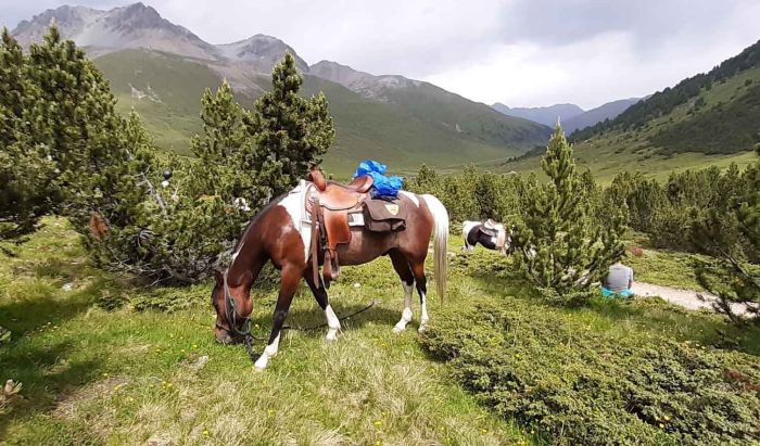 Reiturlaub im Münstertal Graubünden