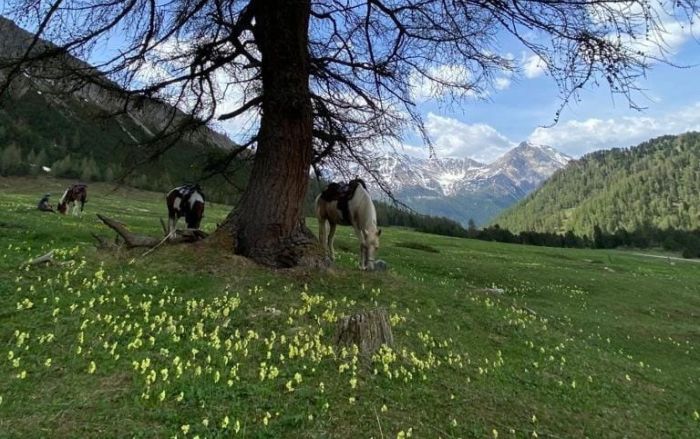 Reiturlaub im Münstertal Graubünden