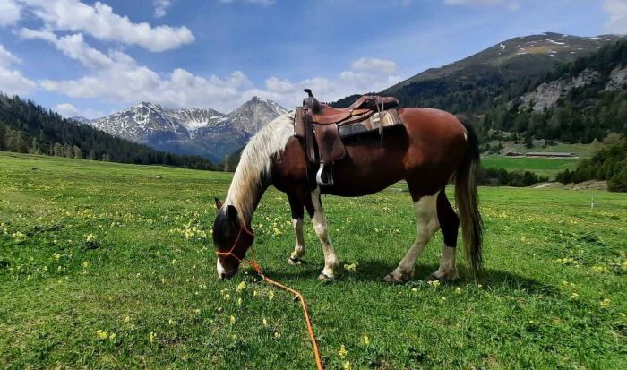 Reiturlaub im Münstertal Graubünden