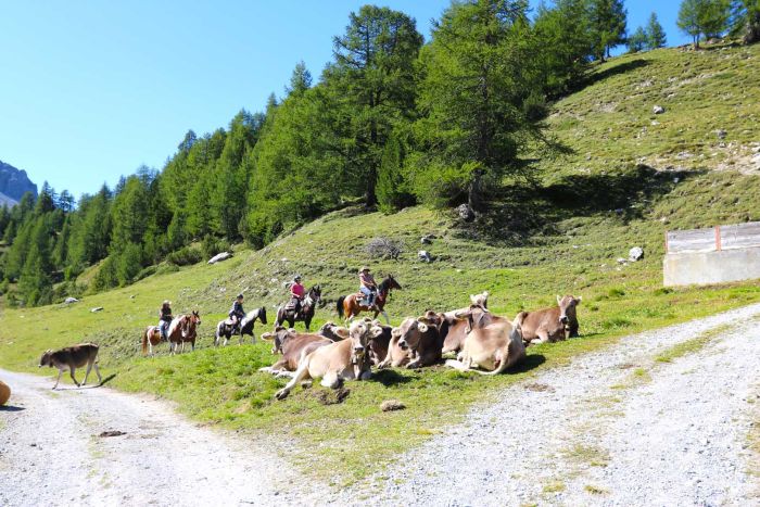 Reiturlaub im Münstertal Graubünden