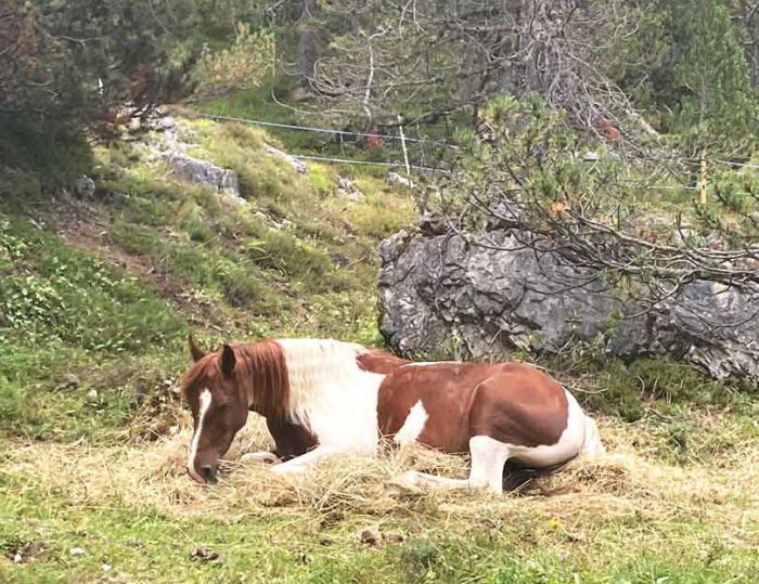 Reiturlaub im Münstertal Graubünden