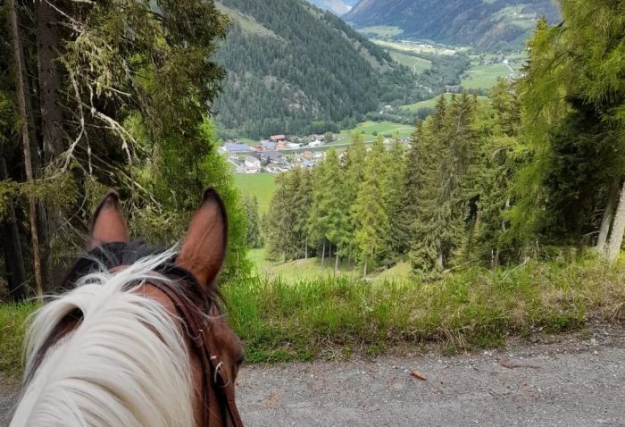 Reiturlaub im Münstertal Graubünden