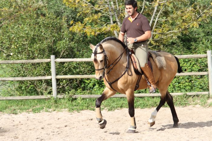Dressur & Working Equitation auf Alcainca