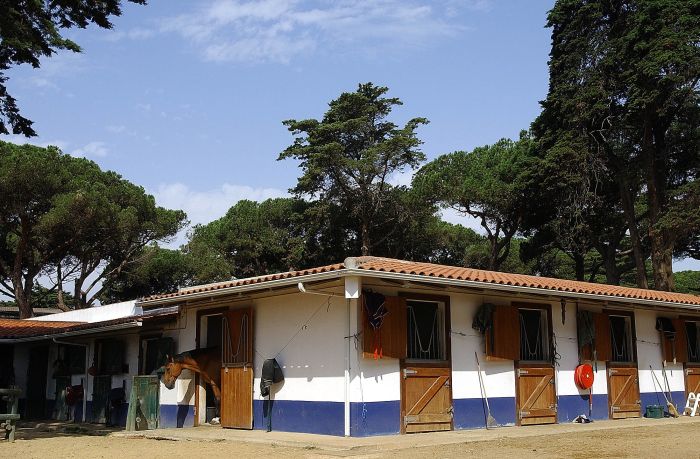 Komforthotel an der Westküste Portugals