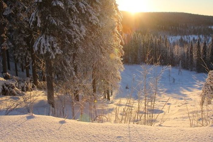 Winterabenteuer im Herzen Finnlands