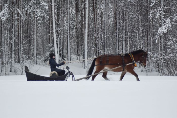 Winterzauber von Nordkarelien in Finnland