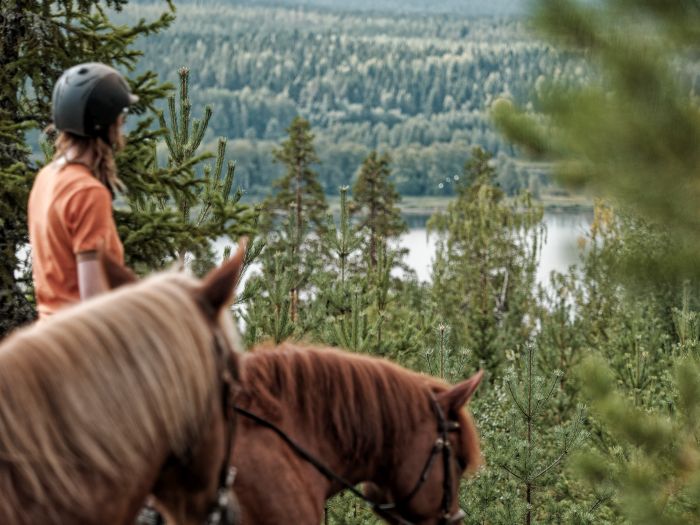 Winterzauber von Nordkarelien in Finnland