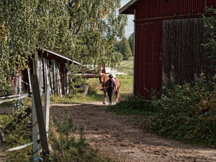 Winterzauber von Nordkarelien in Finnland