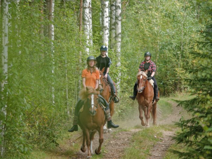 Winterzauber von Nordkarelien in Finnland