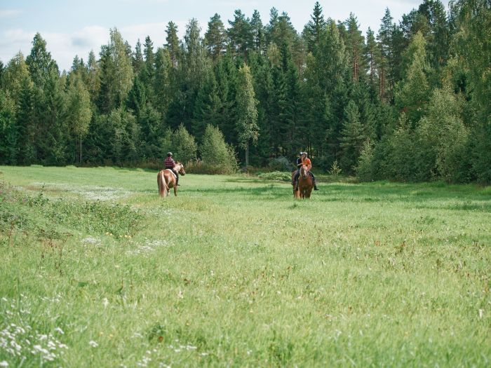 Winterzauber von Nordkarelien in Finnland