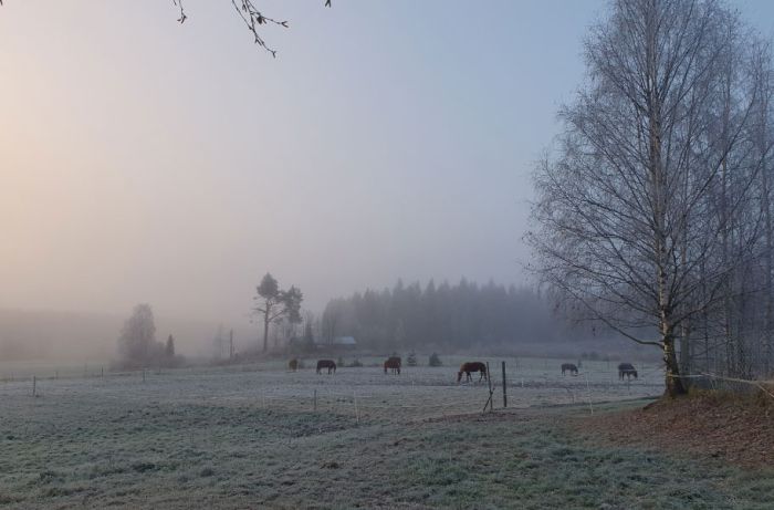 Winterzauber von Nordkarelien in Finnland