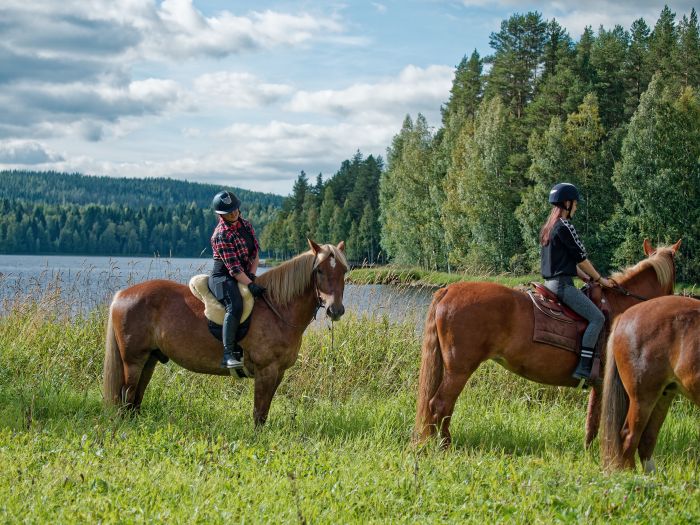 Winterzauber von Nordkarelien in Finnland