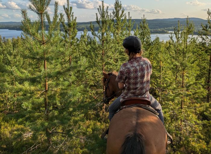 Winterzauber von Nordkarelien in Finnland