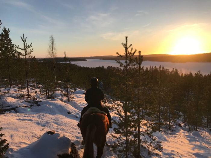 Winterzauber von Nordkarelien in Finnland