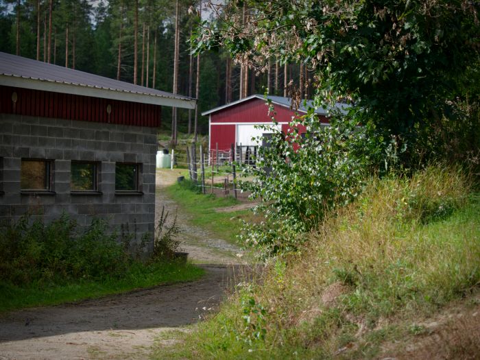 Winterzauber von Nordkarelien in Finnland