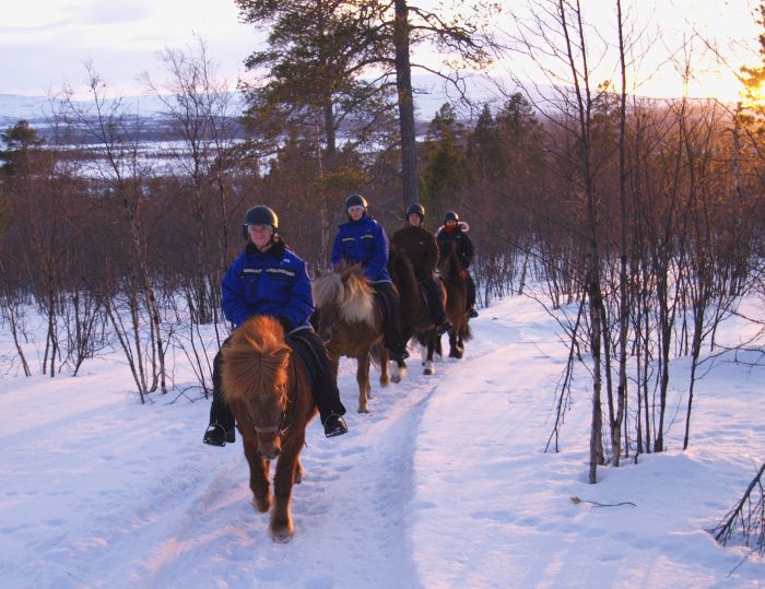 Zauber der Polarlichter