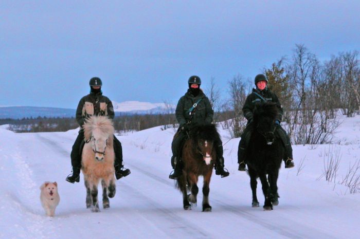 Zauber der Polarlichter