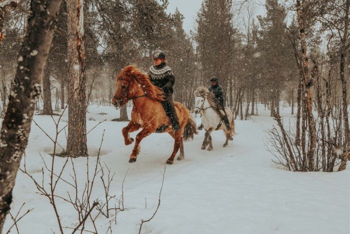 Zauber der Polarlichter