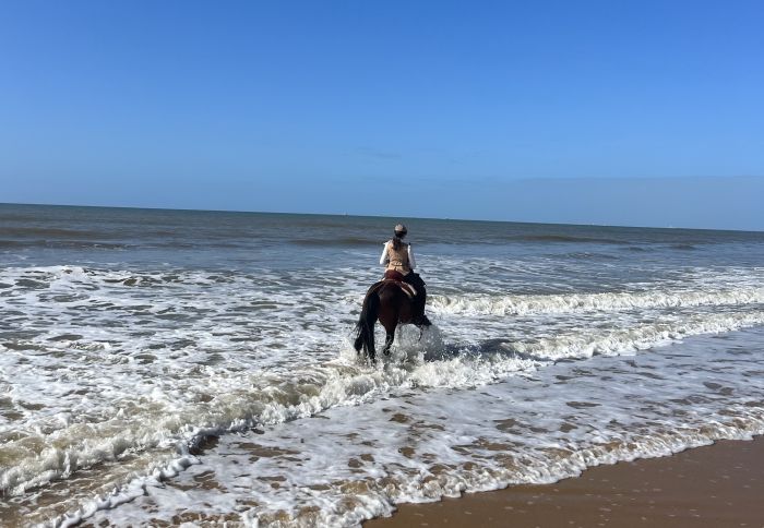 Coto de Doñana Trail