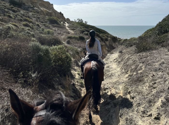 Coto de Doñana Trail