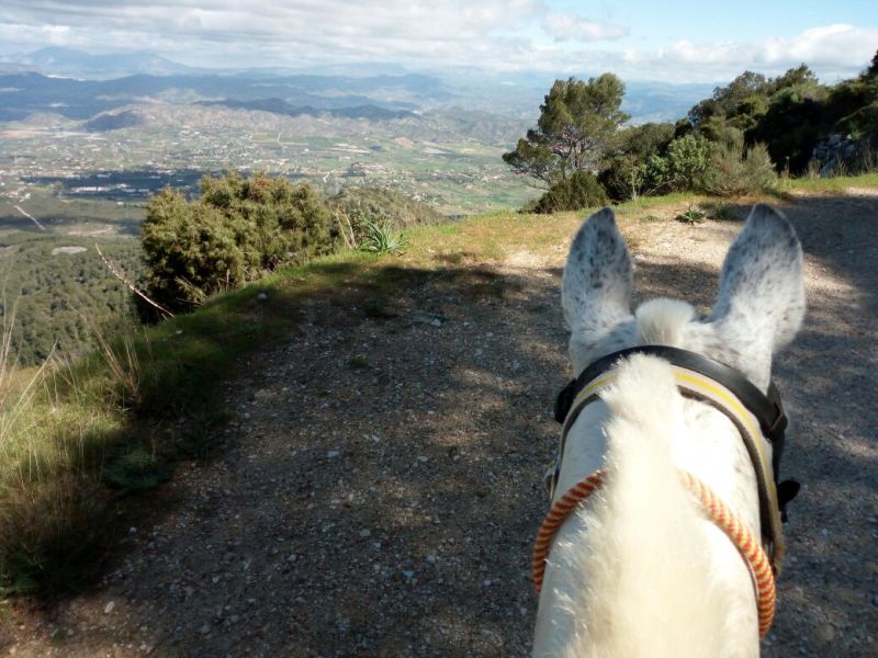 Rancho La Paz - Andalusiergestüt