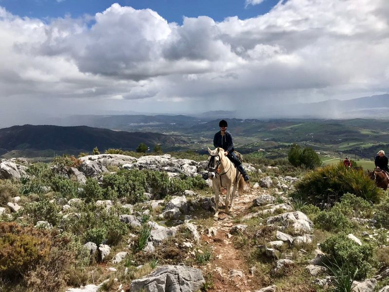 Rancho La Paz - Andalusiergestüt