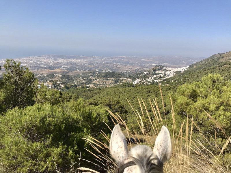 Rancho La Paz - Andalusiergestüt