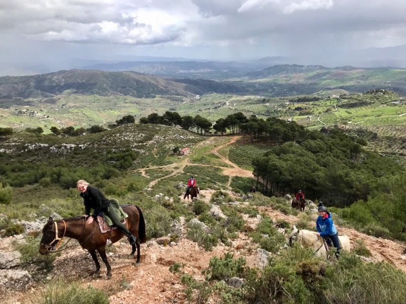 Rancho La Paz - Andalusiergestüt