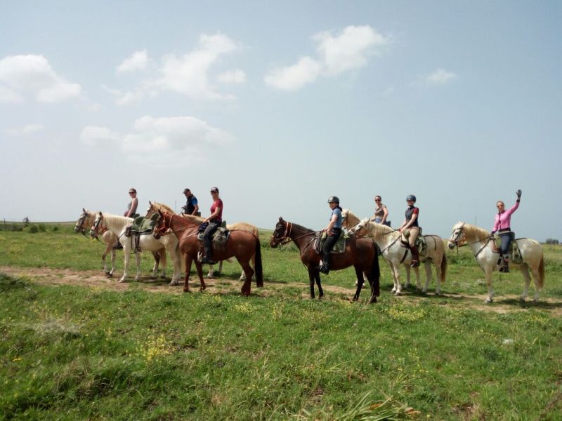 Rancho La Paz - Andalusiergestüt