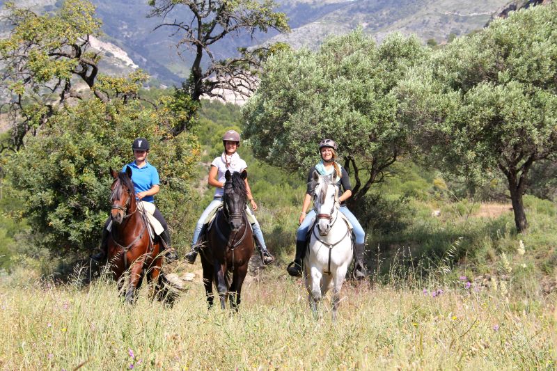 Rancho La Paz - Andalusiergestüt