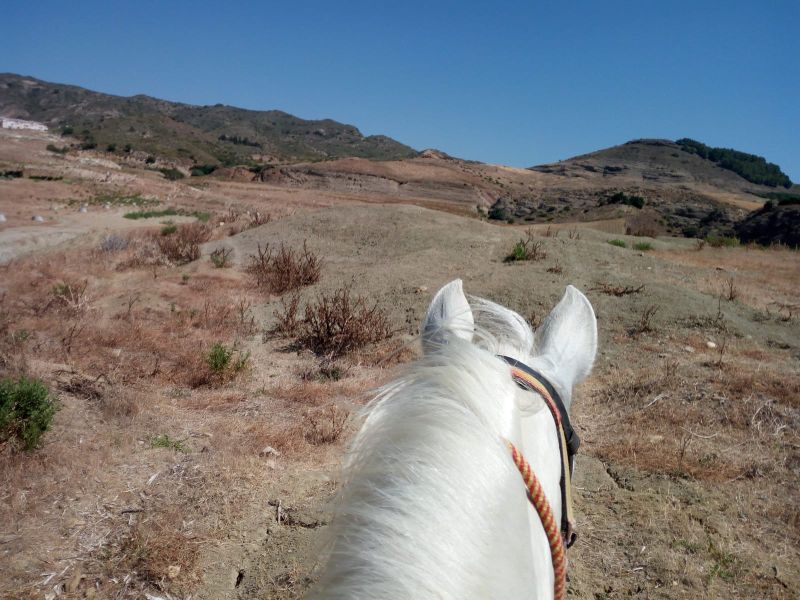 Rancho La Paz - Andalusiergestüt