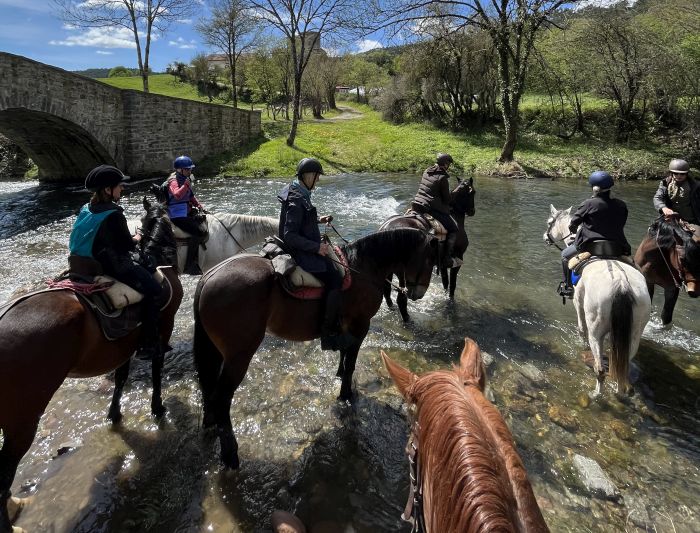 Camino de Santiago - Wanderritt auf dem Jakobsweg