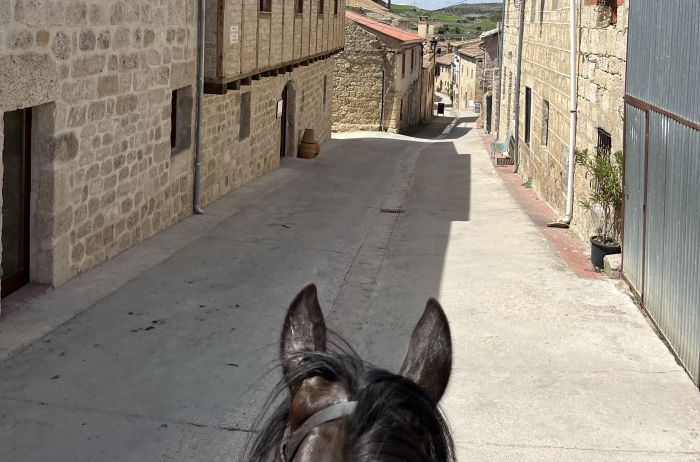 Camino de Santiago - Wanderritt auf dem Jakobsweg