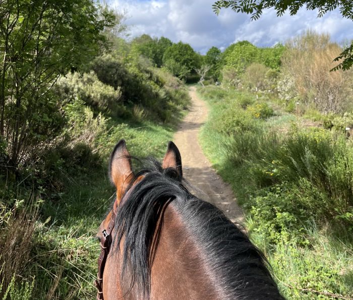 Camino de Santiago - Wanderritt auf dem Jakobsweg