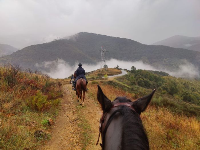 Camino de Santiago - Wanderritt auf dem Jakobsweg