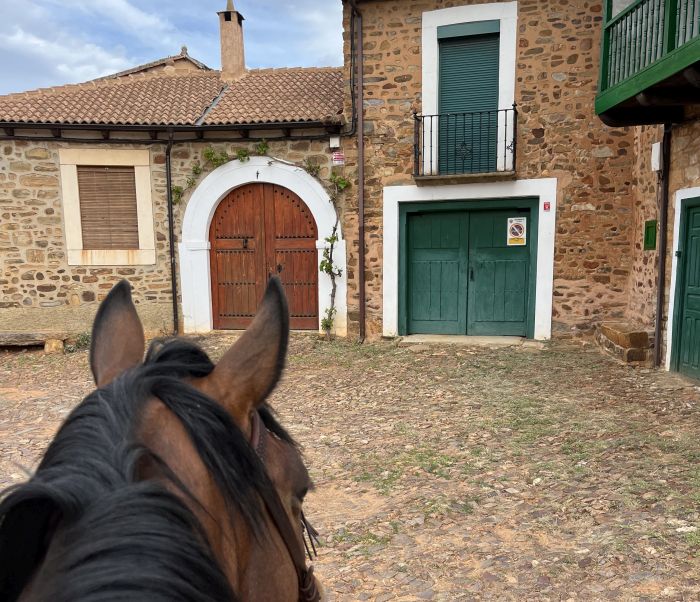 Camino de Santiago - Wanderritt auf dem Jakobsweg