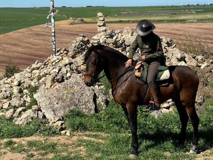 Camino de Santiago - Wanderritt auf dem Jakobsweg