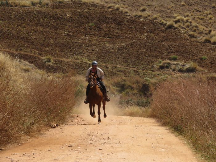 Madagaskar - den sechsten Kontinent zu Pferd entdecken